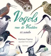 Omslag van Vogels van de Wadden