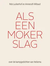 Omslag van Als een mokerslag