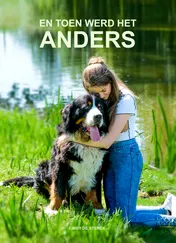 Omslag van En toen werd het anders
