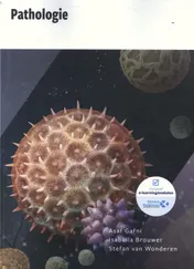 Omslag van KR Pathologie