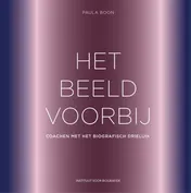 Omslag van Het beeld voorbij