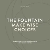 Omslag van The fountain, make wise choices