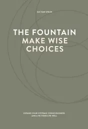 Omslag van The fountain, make wise choices