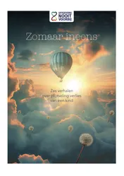 Omslag van Zomaar ineens