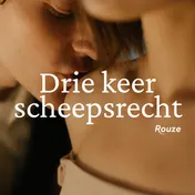 Omslag van Drie keer scheepsrecht