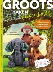 Omslag van Groots haken
