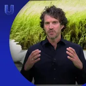 Omslag van Zijn mensen van nature monogaam?