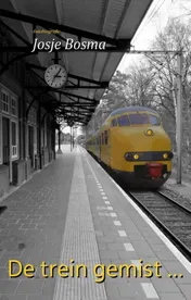 Omslag van De trein gemist ...