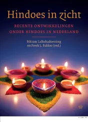 Omslag van Hindoes in zicht