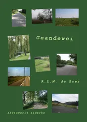 Omslag van Geandewei