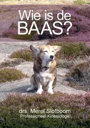 Omslag van Wie is de BAAS?