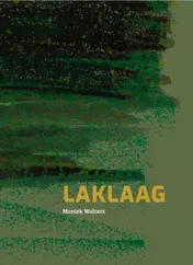 Omslag van Laklaag