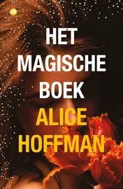 Omslag van Het magische boek