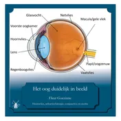 Omslag van Het oog duidelijk in beeld
