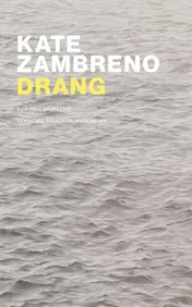 Omslag van Drang