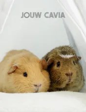 Omslag van Jouw Cavia