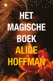 Omslag van Het magische boek
