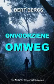 Omslag van Onvoorziene omweg
