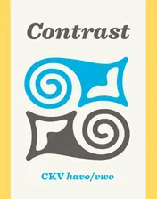 Omslag van ckv havo/vwo