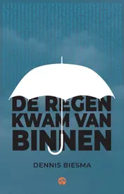 Omslag van De regen kwam van binnen