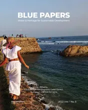 Omslag van Blue Papers
