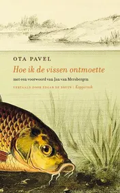 Omslag van Hoe ik de vissen ontmoette