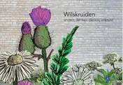Omslag van Wilskruiden