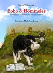 Omslag van Bobo & Hommeles