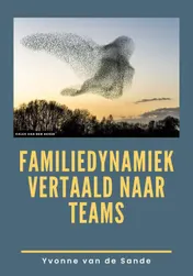 Omslag van Familiedynamiek vertaald naar teams