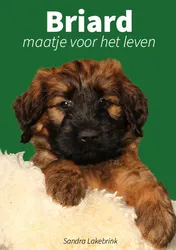 Omslag van Briard