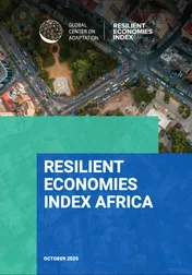 Omslag van Resilient Economies Index Africa