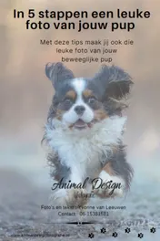 Omslag van In 5 stappen een leuke foto van jouw pup