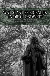 Omslag van Wat staat er eigenlijk in die grondwet?