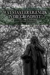 Omslag van Wat staat er eigenlijk in die grondwet?