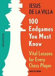 Omslag van 100 Endgames You Must Know