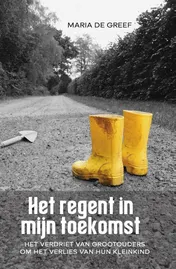 Omslag van Het regent in mijn toekomst