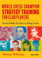 Omslag van World Champion Chess Strategy Training for Club Players