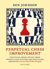 Omslag van Perpetual Chess Improvement