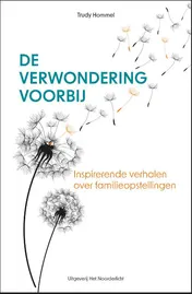 Omslag van De verwondering voorbij