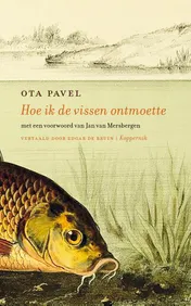 Omslag van Hoe ik de vissen ontmoette