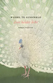 Omslag van Zeer helder licht