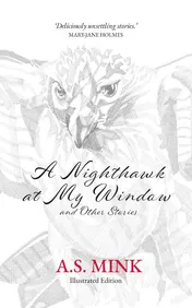 Omslag van A Nighthawk at My Window and Other Stories