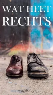 Omslag van Wat heet rechts