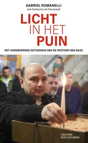 Omslag van Licht in het puin