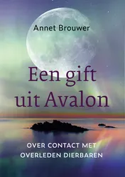 Omslag van Een gift uit Avalon
