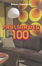 Omslag van Paulinaweg 100