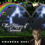 Omslag van The prayers of survival