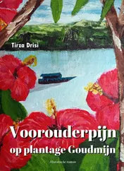 Omslag van Voorouderpijn op plantage Goudmijn