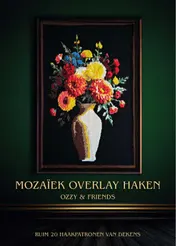 Omslag van Mozaiek overlay haken