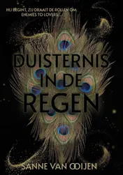 Omslag van Duisternis in de regen